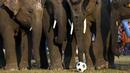 Слонове играят футбол в Непал  
