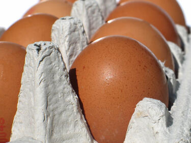 Край на търговията в ЕС с яйца от кокошки, отглеждани в клетки 