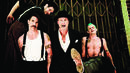 Red Hot Chili Peppers отменят концерти