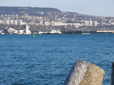 Кафяво петно в морето вся смут сред къмпингуващи