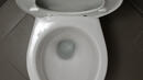 За капака на тоалетна чиния и опасностите за здравето ни