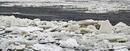 Ледоходът по Дунав край Силистра достигна 60 на сто. Има около двайсет метров крайбрежен лед. Засега няма официална информация за застрашени от ледохода плавателни съдове