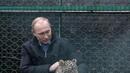 Путин влезе в клетката на леопард (СНИМКИ/ВИДЕО)