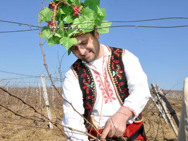 Българите празнуват Деня на лозаря - Трифон Зарезан