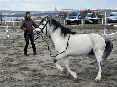 Св. Тодор съблича своите девет кожуха, яхва бял кон...