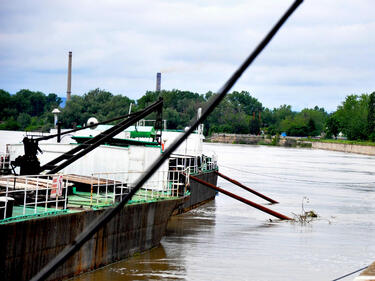 Река Дунав е повишила нивото си при Никопол