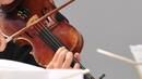 Звукът от 342-годишна цигулка впечатли плевенчани