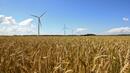Влагата ще забави прибирането на житото в Монтанско
