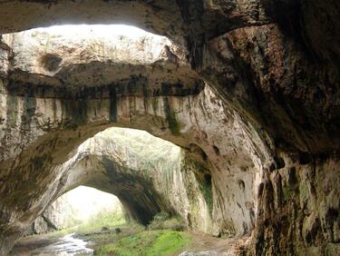 Колониите от прилепи в Деветашката пещера са в процес на възпроизводство