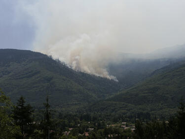 Отказаха помощ от Израел и Македония за пожара във Витоша