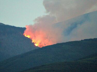 Няма засегната жива гора при пожара на Витоша 