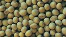 БАБХ изтегля от пазара 10 тона украинска соя с ГМО