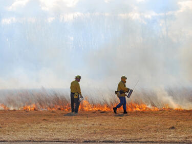Пожарът в Хасковско е локализиран
