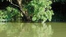 Мъж се удави в река Янтра 
