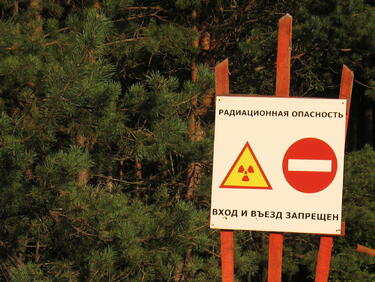 Как растенията около Чернобил се справят с радиацията