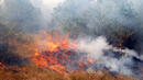 Пожарът край село Динево