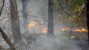 Локализиран е пожарът между Николаево и Гурково