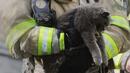 Пожарникари спасиха 17-годишна котка от горяща къща