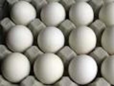 Внимание! Полски яйца на пазара със салмонела