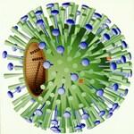 Бъдете готови за битката с грипа