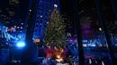Коледната елха грейна в сърцето на Ню Йорк