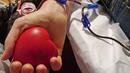 <p>В Община Варна започна акция по доброволно кръводаряване</p>