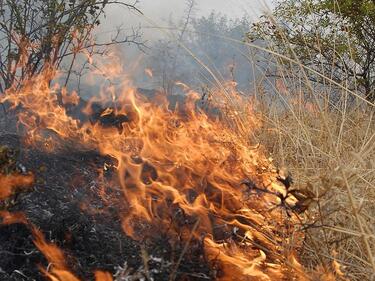 Загасиха единия пожар в Тетевенско