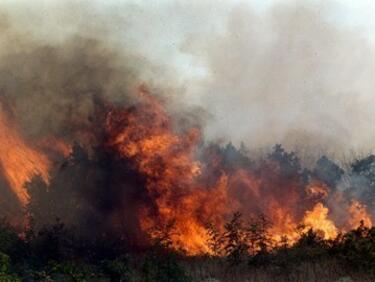 Нов пожар пламна край бургаското село Изворище
