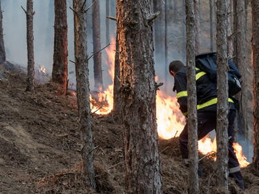 Огънят в Кресненското дефиле не спира