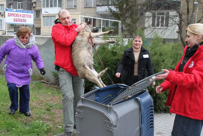 Инициативата се провежда за трети път след успешните партньорства през 2008 и 2011 г.