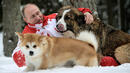 Путин, в компанията на Бъфи и Юми, се радва на снега