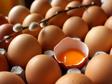 Агнешкото и яйцата запазват цените си за Великден