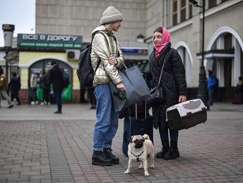 Украински граждани не оставиха животните си след началото на руската