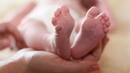 20% от бебетата у нас се раждат недоносени