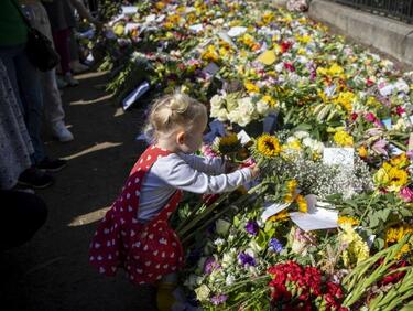 Компостират невъобразимите количества цветя, които са оставени в почит на Елизабет II