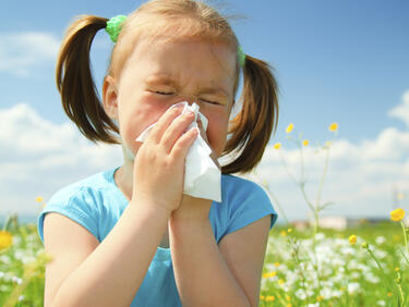 Ставаме все по-изнежени и чувствителни към алергиите