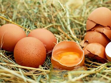 Украинските яйца са безопасни, показаха резултатите на БАБХ