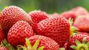 3 пъти по-скъпи плодове чакат този сезон в Кюстендилско