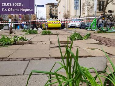 "Спаси София" посади зеленчуци на площад "Св. Неделя", за да засрами общината