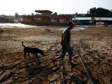 Климатичните промени са причината за рекордната суша в Амазония