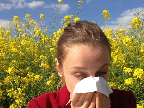 Алергиите са резултат от преувеличен имунен отговор от страна на