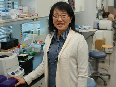 Японци ще възстановяват зрение със стволови клетки