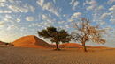 Намибия - пустош и красота 