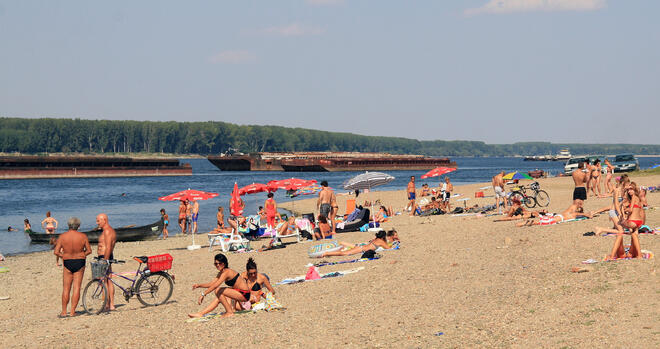 Много жители на Лом и гости на града използват топлото за сезона време  за плаж по брега на Дунав. Заради маловодието реката се е отдръпнала и  по коритото й са се показали големи ивици земя