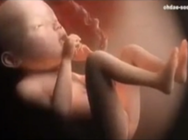 Удивително е какво се случва с бебето в корема на жената (ВИДЕО)
