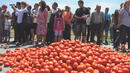 Земеделци поискаха помощ срещу нападения от доматен молец