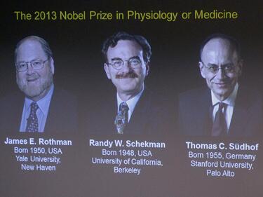 Кой грабна Нобеловата награда за медицина тази година