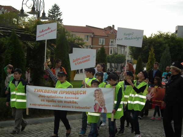 Огромен 249 метров тиквеник изядоха в Севлиево