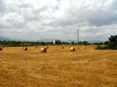Най-много земеделска земя е продадена в Югоизточна България