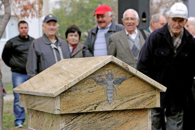 Първият в света паметник на пчелата "кацна" в Пловдив